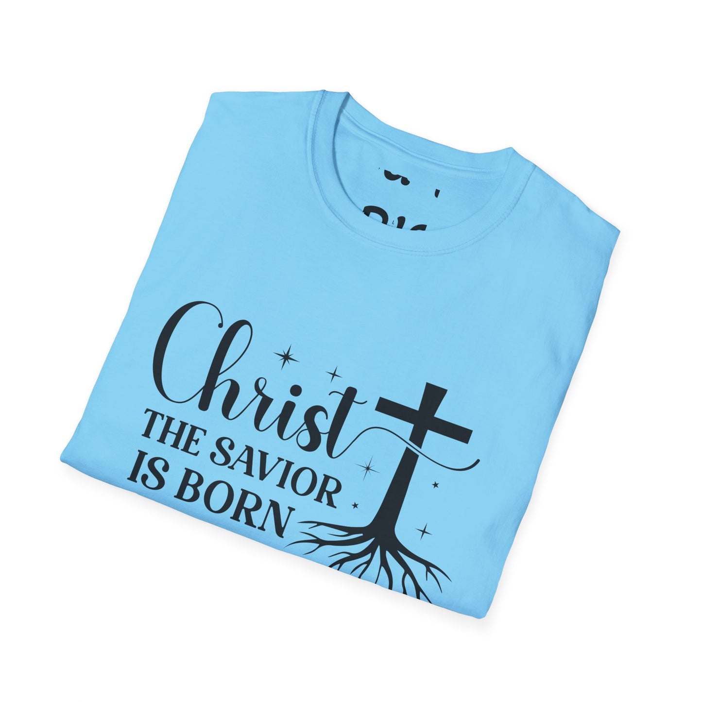 Christ the Savior